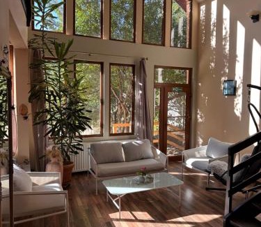 Giarmata Villa | Pink Garden Events Advance Notice Required