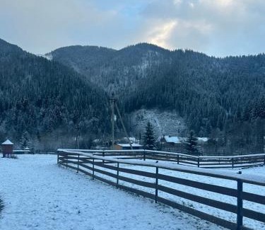 Dobrovelychkivka Apartment | Pink House Karpaty