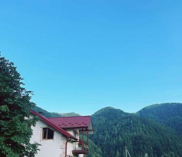 Dobrovelychkivka Apartment | Pink House Karpaty