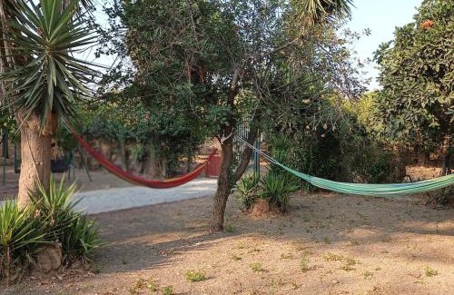 Ilida House | Plane Tree Cottage for Nature Lovers- Free RV & Campervan Parking