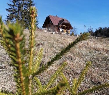 Konjska Reka House | Planinska kuca Mir