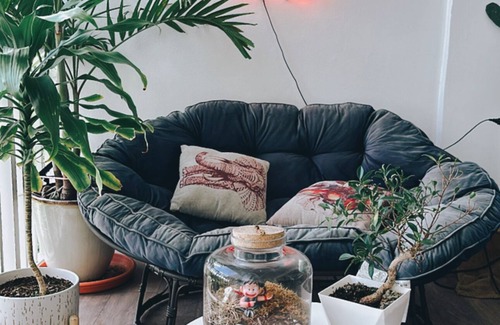 Hillcrest Condo | Plant Lover’s Bachelor Pad