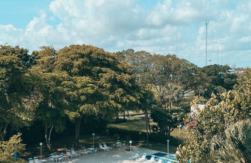 Hillcrest Condo | Plant Lover’s Bachelor Pad