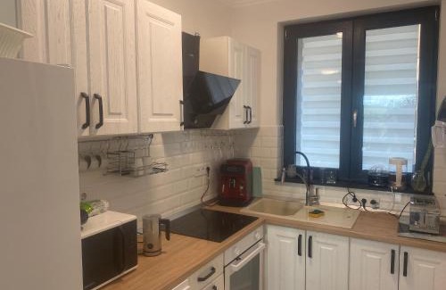 Sincraiu de Mures Villa | Platinium Grand House