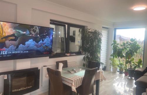 Sincraiu de Mures Villa | Platinium Grand House