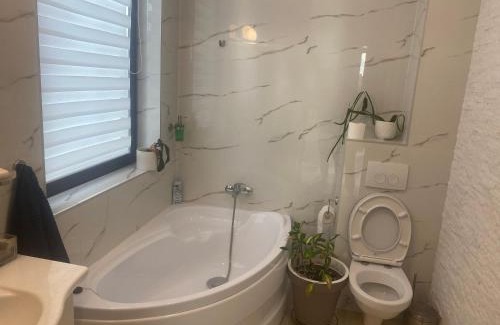 Sincraiu de Mures Villa | Platinium Grand House