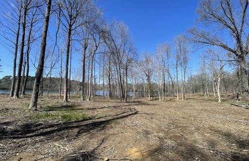 Carbondale RV Rental | PLAYPORT South camp. Eclipse Hot Spot. South Zone primitive camp sites