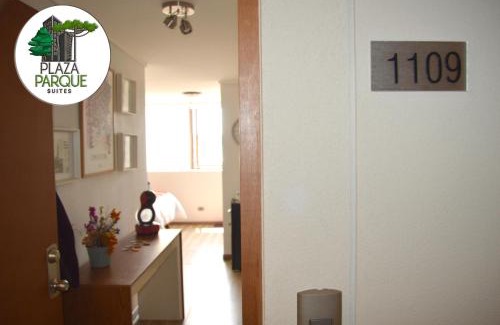 Concepcion Apartment | Plaza Parque Suites 1109