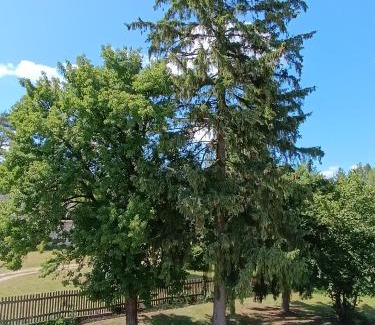 Tykocin Apartment | Po Prostu Las