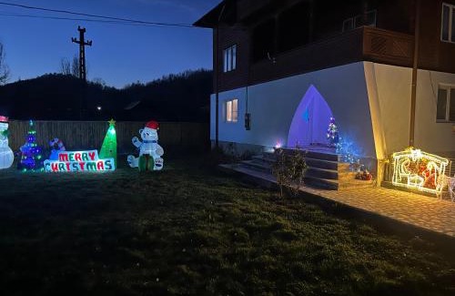 Bodesti Villa | Poama villa