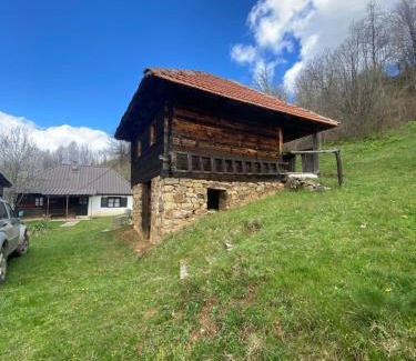 Central Serbia Ski Chalet | Pod Golijom selo moje