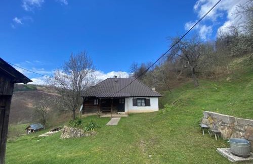Central Serbia Ski Chalet | Pod Golijom selo moje