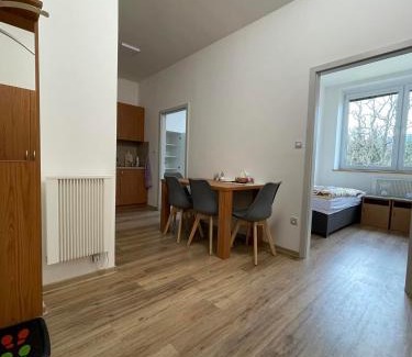 Borovany Apartment | Pohoda u Žofína