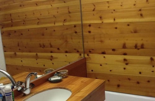 Arc-1600 Ski Chalet | Pointed Chalet character ARCS 1600