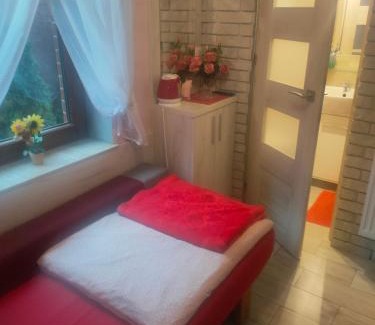 Gniezno Bed & Breakfast | Pokój dla jednej osoby z łazienką