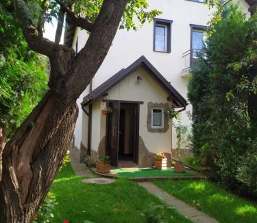 Kroscienko nad Dunajcem House | Pokoje gościnne u Zosi Krościenko