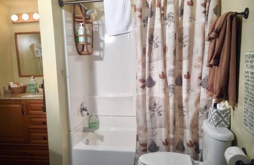 Durango - Purgatory Cabin | Ponderosa Cabin at O-Bar-O