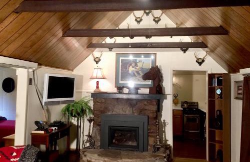 Durango - Purgatory Cabin | Ponderosa Cabin at O-Bar-O