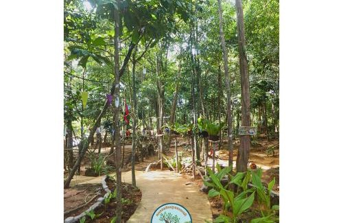 Koh Rong Other | Prek KongKang Eco-Camping