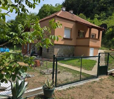 Central Serbia Villa | Premecki konak