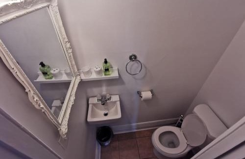 Downtown Niagara Falls House | Prime location! 4 bedroom house located right next to the casino and the falls