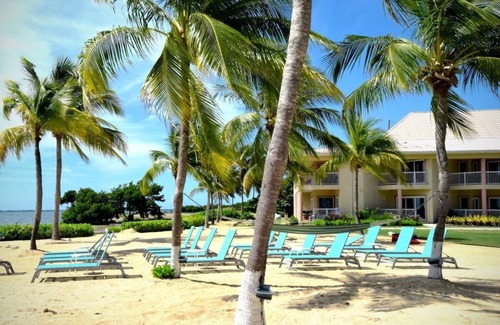 Crystal Harbour Apartment | Prime Location! Onsite Swimming Pool, Pets Allowed, Free Parking!