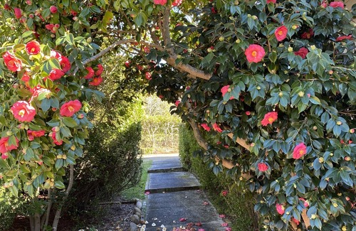 Katoomba Apartment | Prime Spot! 5mins to “Grand Cliff Top Walk” & “3 Sisters”