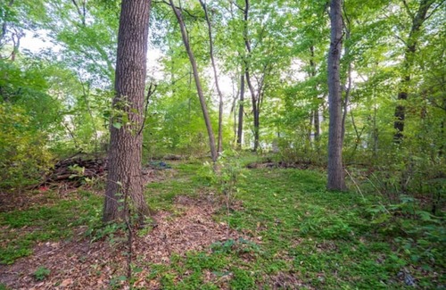 Blaine House | Private 4 BR Home with Wooded Backyard