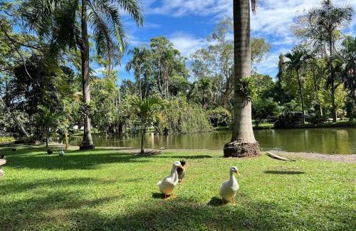 San Pedro Sula Apartment | Private Guesthouse near Airport