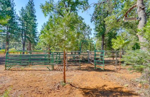 Shingletown House | Private Horse Stall Unplug at Shingletown Home!