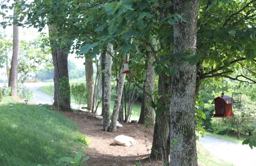 Deep Gap Cottage | PRIVATE & PEACEFUL IN HIGH COUNTRY MOUNTAINS