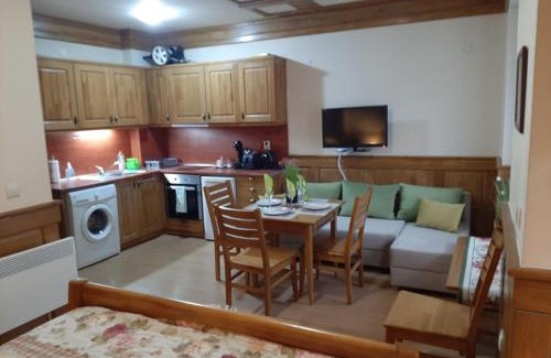 Razlog Apartment | Private Studio Pirin Golf Hotel Bansko