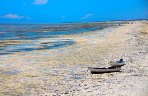 Bwejuu Resort | Protels La Plage