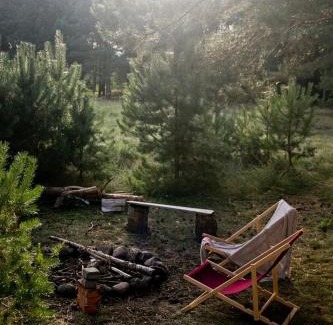 Brusy House | Przytulny dom w sosnowym lesie nad rzeką i jeziorem