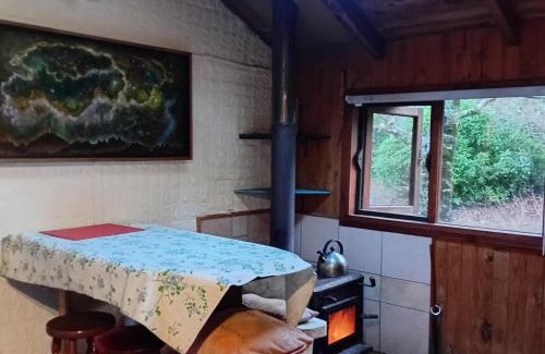Pucon Hotel | Pucón Volcano Forest SPA