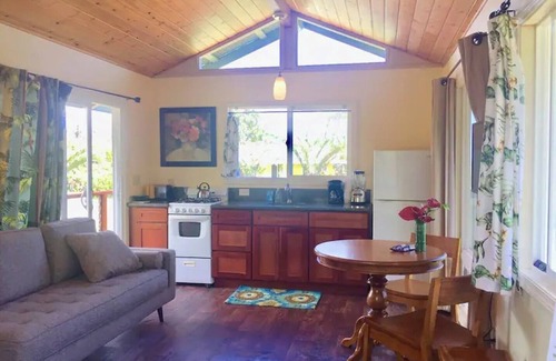 Pahoa Apartment | Puna Rainforest Hot Spring Retreat - Green Bamboo Cottage