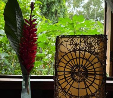 Isla Bastimentos Cabin | Pure Roots