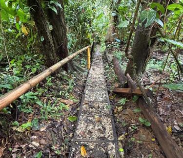 Isla Bastimentos Cabin | Pure Roots