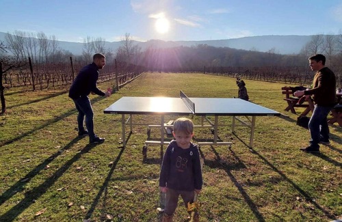 Pricelje RV Rental | Purple Eye Estate - Camp & Winery (Jokaš)