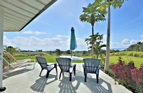 Papaikou House | Puumoi Pink House, 3 bedroom home with sunrise and ocean view.10 minutes to Hilo