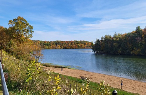 Glenwood City Cabin | Quaint 1-bedroom camper cabin in County Park!