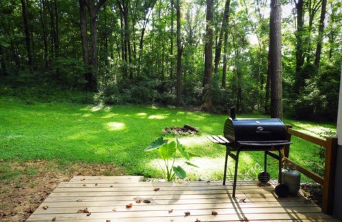 Shady Shores Cottage | Quaint cottage on the South End of Lake Lanier