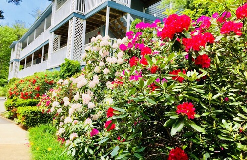 Ogunquit Apartment | Quaint Ogunquit Condo 5 Min.Walk To Perkins Cove & Marginal Way