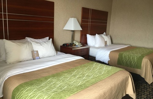 Clarion Hotel | Quality Inn Clarion