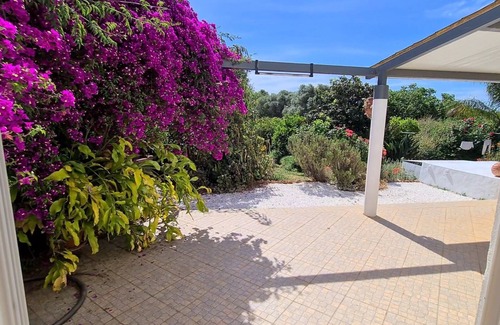 Silves Bed & Breakfast | Quarto Privado Numa Encantadora Quinta Acima de Silves