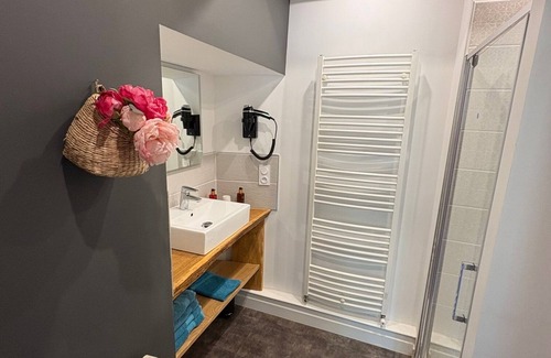 Entraygues-sur-Truyere House | Queen-Superior-Wet room-Park view