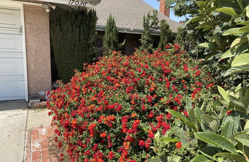 Hacienda Heights House | Queen Suite full bath view minute to school shopping etc .優雅套房。交通方便。