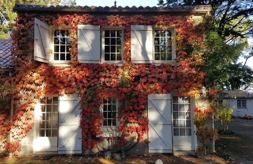 Les Moutiers-en-Retz Apartment | Quiet beachfront gîte, sleeps 2