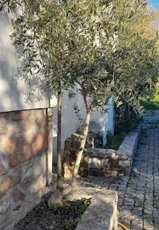 Vila Ruiva Villa | Quinta da Barbosa