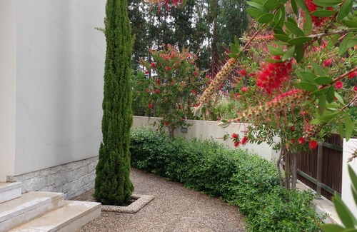 Aguas Belas Villa | Quinta da Martinela - House on Lake - Ferreira do Zêzere